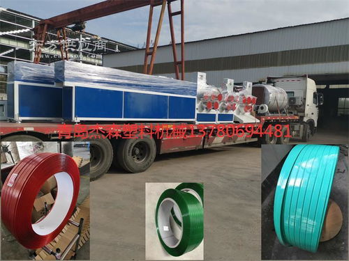 sjjs 90pet打包帶設備圖片